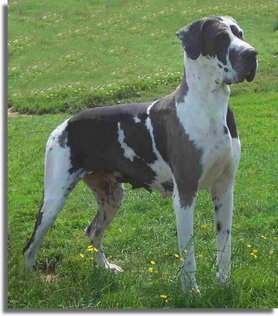 Abysse du domaine de Sultan